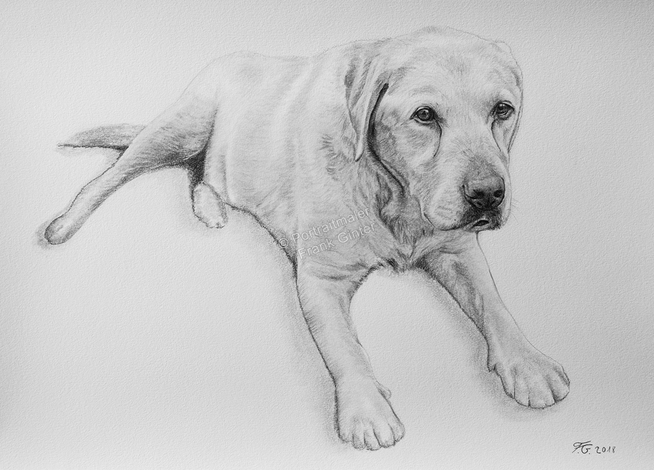 Bleistiftzeichnungen, Hundeportraits als Ganzkörperzeichnung mit Bleistift gezeichnet