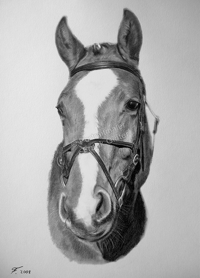 Bleistiftzeichnungen-Tierportraits, Pferdebild – ein mit Bleistiften gezeichnetes Pferd