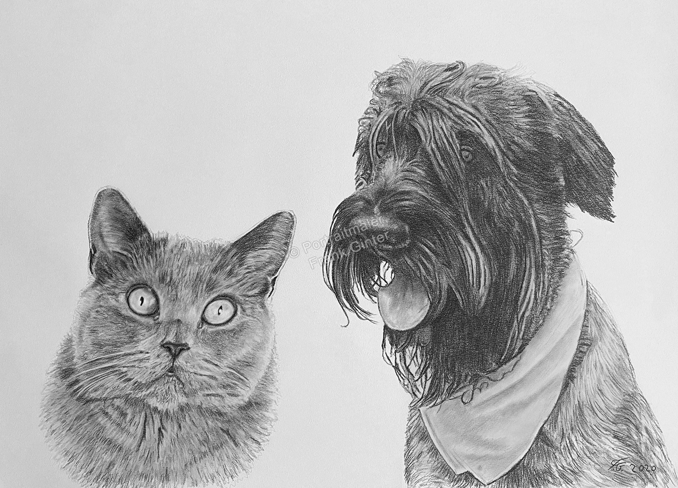 Bleistiftzeichnungen-Tierportraits, Katze und Hund mit Bleistift gezeichnet