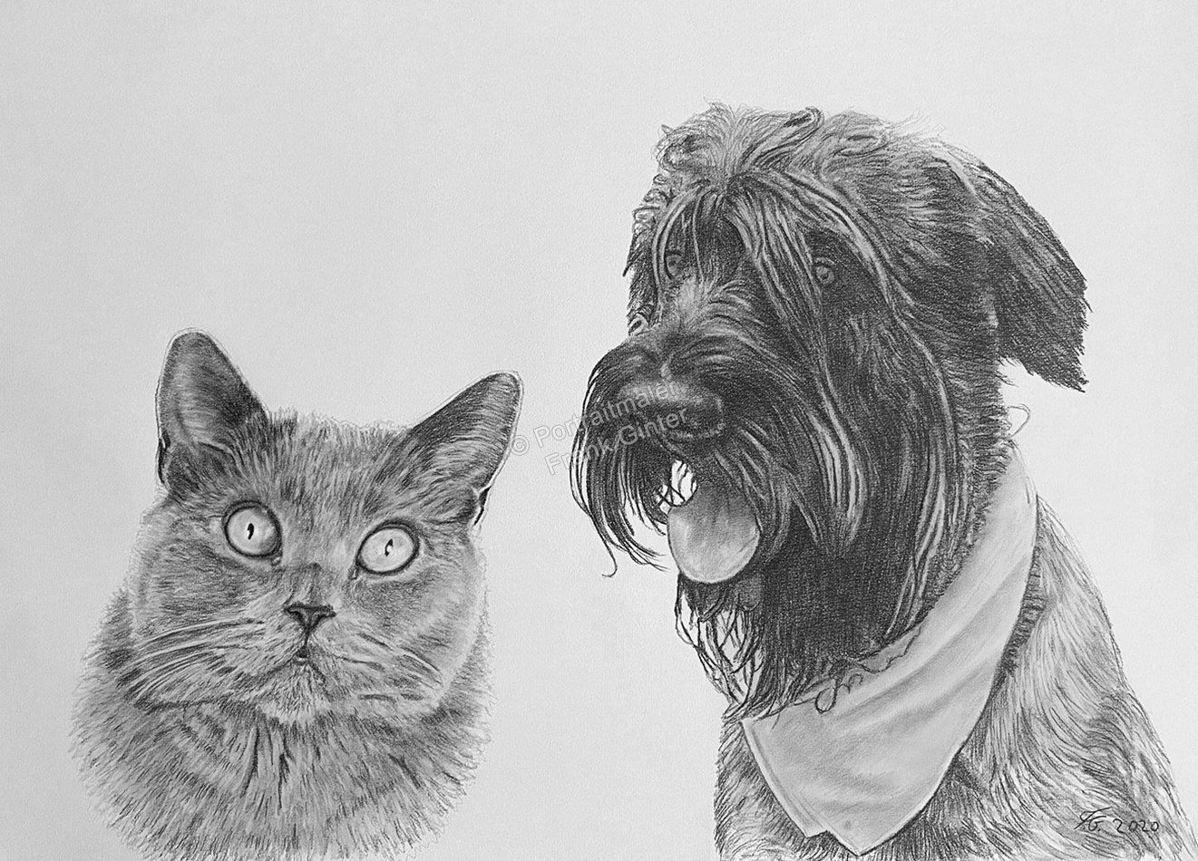 Hundeportrait und Katzenportrait - Bleistiftzeichnungen mit Tieren